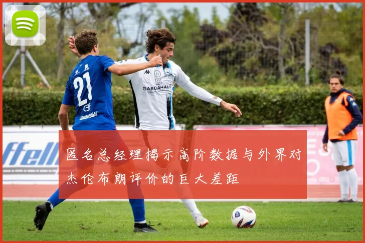 匿名总经理揭示高阶数据与外界对杰伦布朗评价的巨大差距