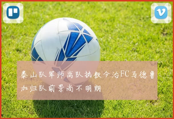 泰山队军师离队执教今治FC马德鲁加归队前景尚不明朗