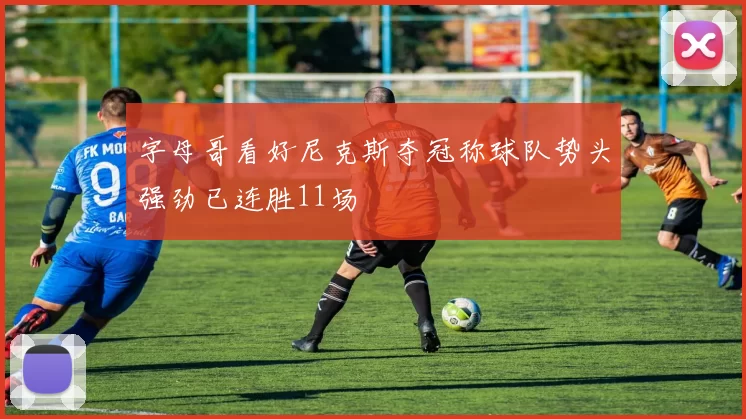 字母哥看好尼克斯夺冠称球队势头强劲已连胜11场